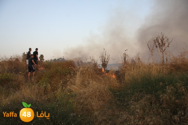 fireina7rashyaffa505 (4).JPG